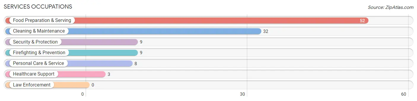 Services Occupations in Young Harris