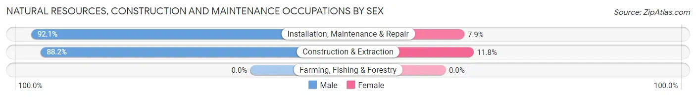 Natural Resources, Construction and Maintenance Occupations by Sex in Ahuimanu