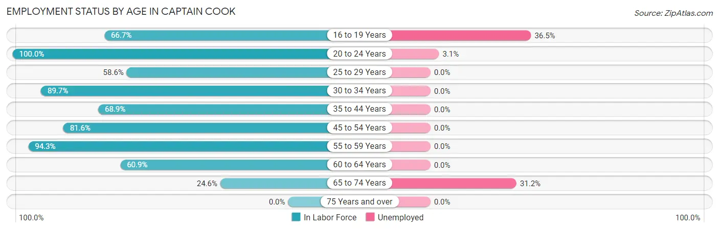 Employment Status by Age in Captain Cook