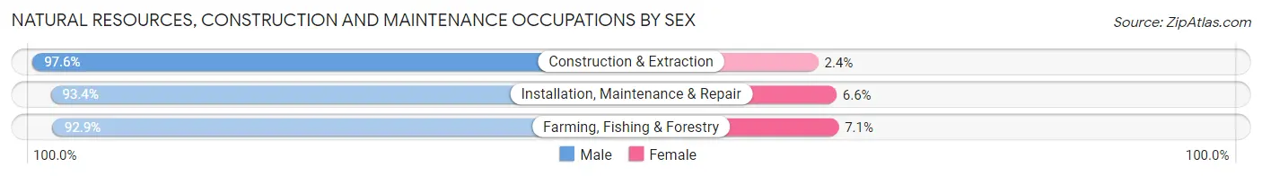 Natural Resources, Construction and Maintenance Occupations by Sex in East Honolulu