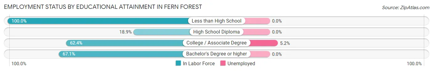 Employment Status by Educational Attainment in Fern Forest