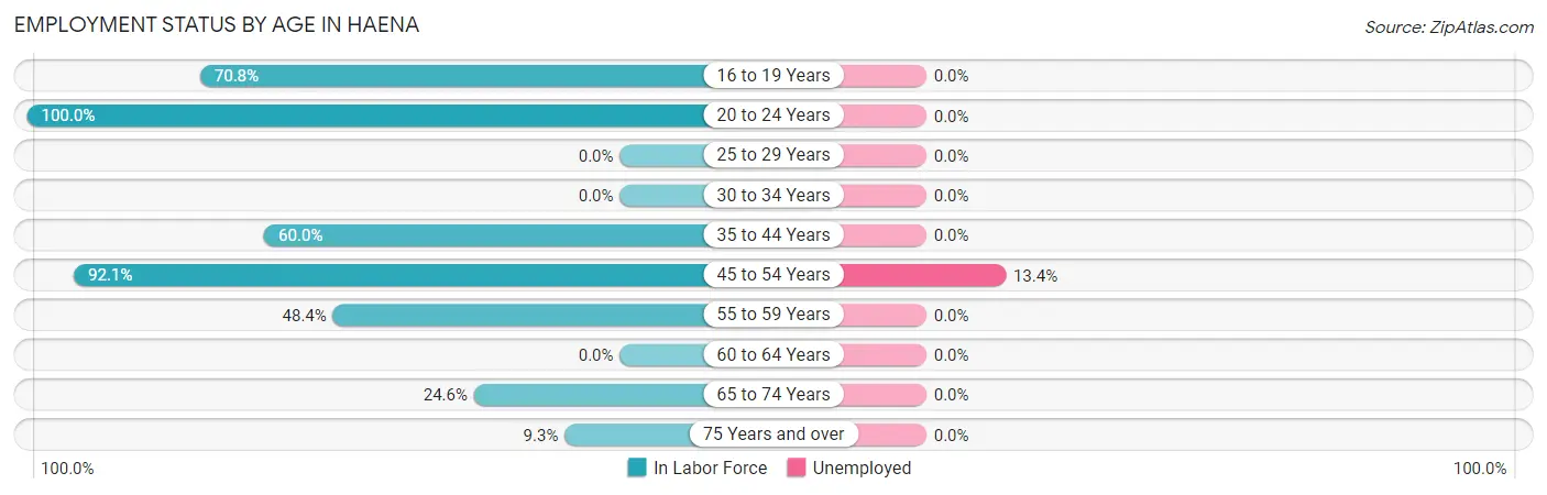 Employment Status by Age in Haena