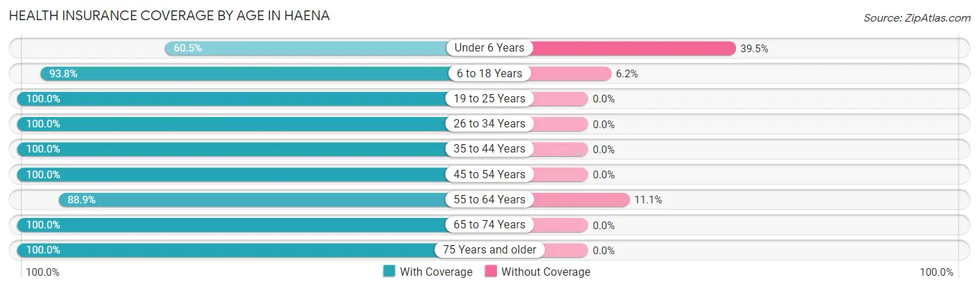 Health Insurance Coverage by Age in Haena