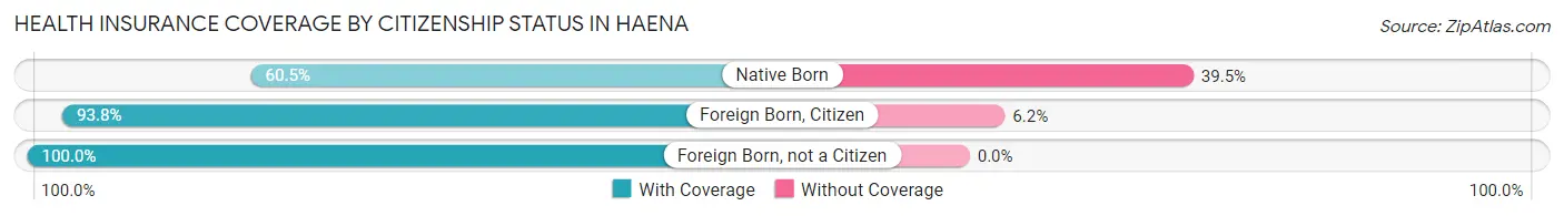 Health Insurance Coverage by Citizenship Status in Haena