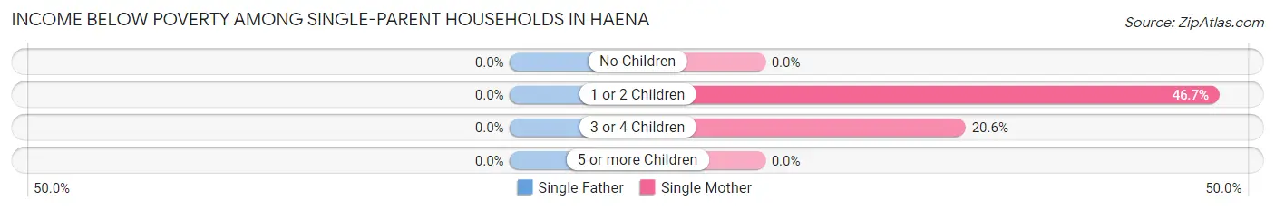 Income Below Poverty Among Single-Parent Households in Haena