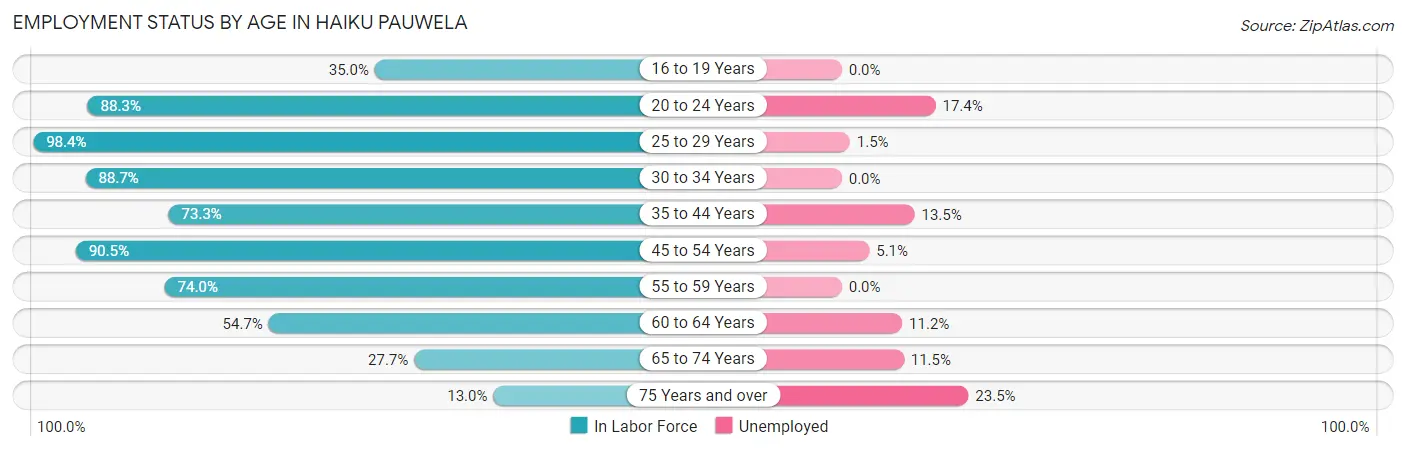 Employment Status by Age in Haiku Pauwela