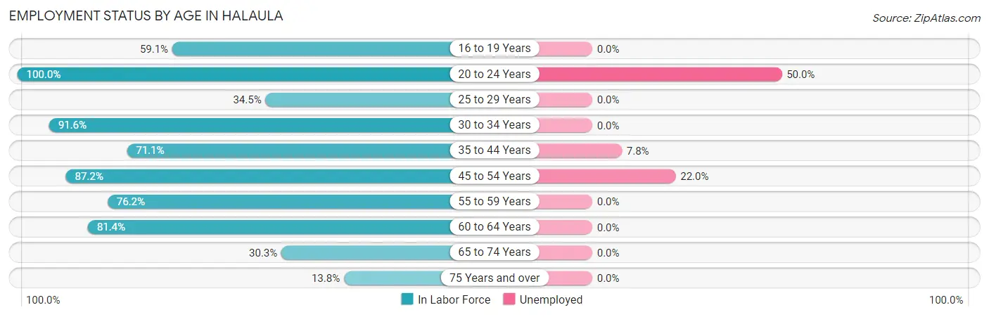 Employment Status by Age in Halaula