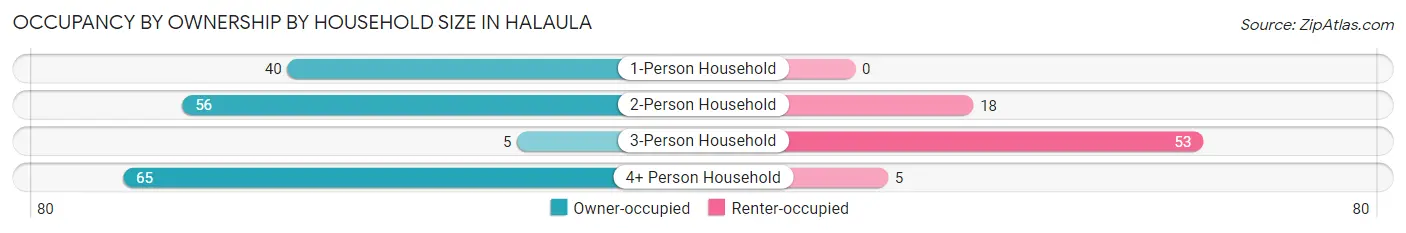 Occupancy by Ownership by Household Size in Halaula