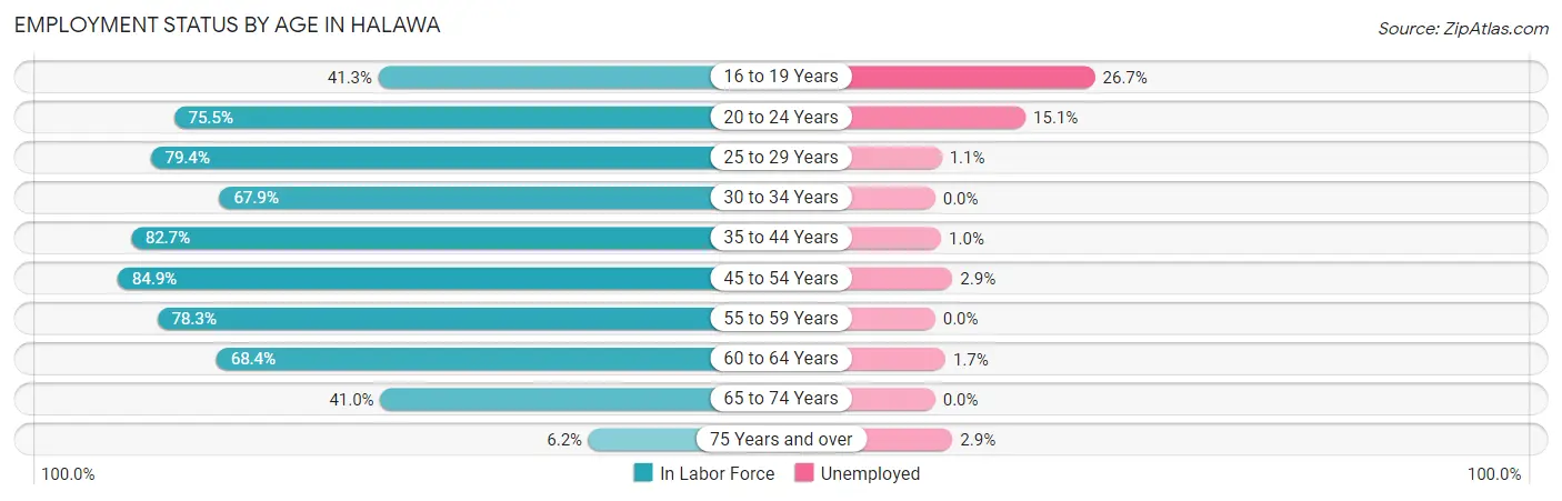 Employment Status by Age in Halawa