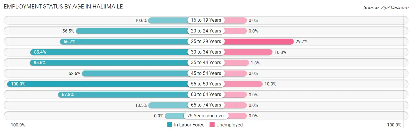 Employment Status by Age in Haliimaile