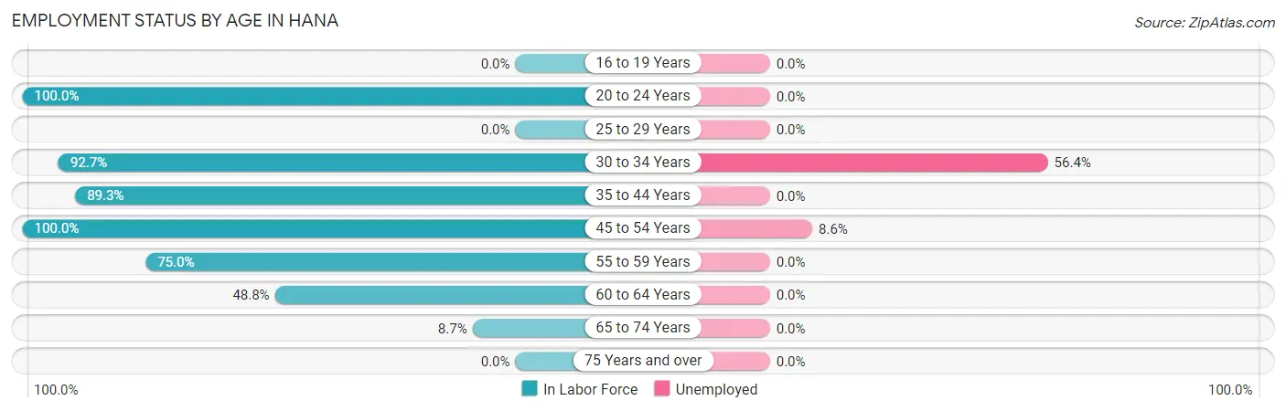 Employment Status by Age in Hana