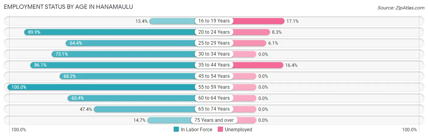 Employment Status by Age in Hanamaulu