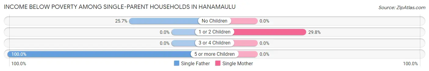 Income Below Poverty Among Single-Parent Households in Hanamaulu