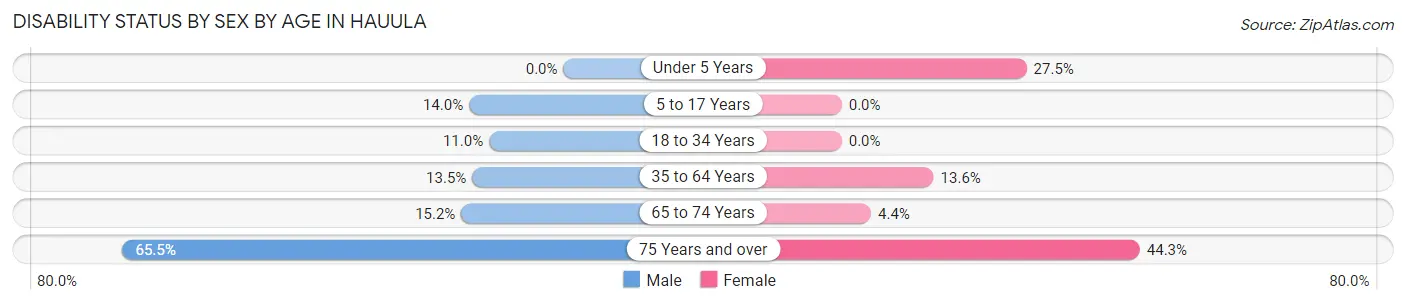 Disability Status by Sex by Age in Hauula