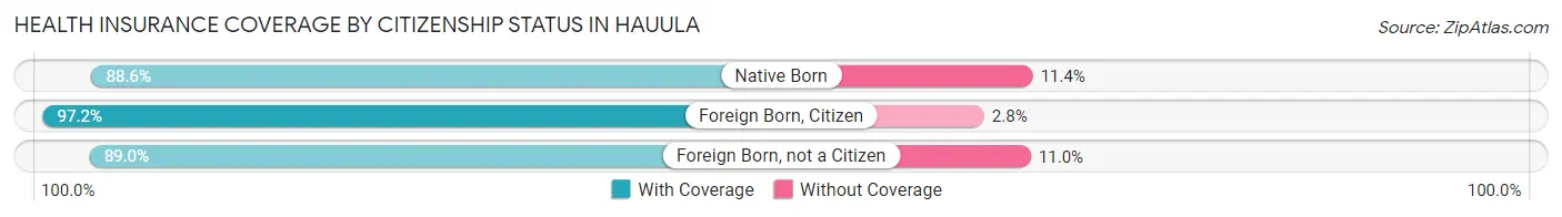 Health Insurance Coverage by Citizenship Status in Hauula