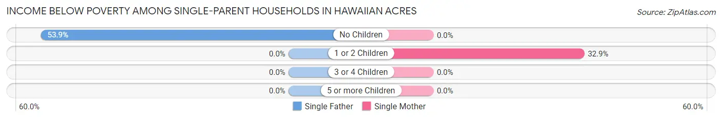 Income Below Poverty Among Single-Parent Households in Hawaiian Acres