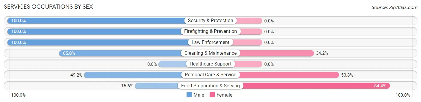 Services Occupations by Sex in Hawaiian Ocean View