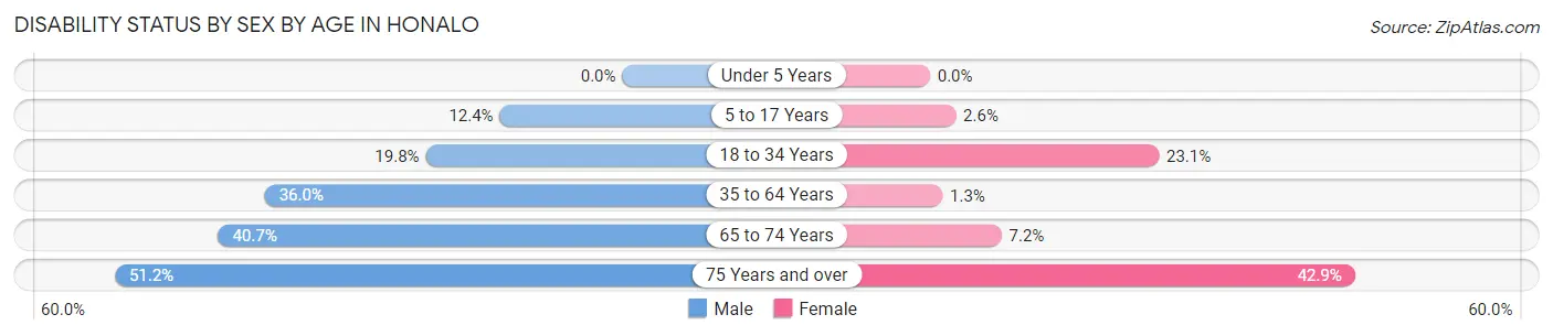 Disability Status by Sex by Age in Honalo