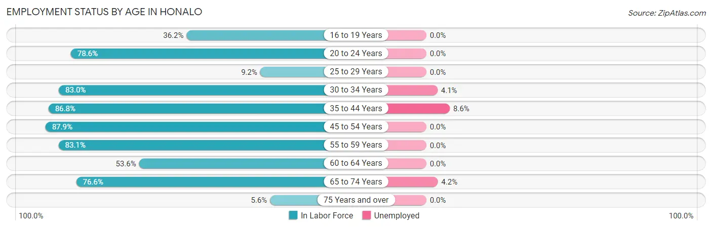 Employment Status by Age in Honalo