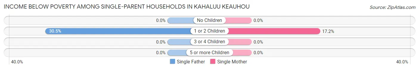 Income Below Poverty Among Single-Parent Households in Kahaluu Keauhou