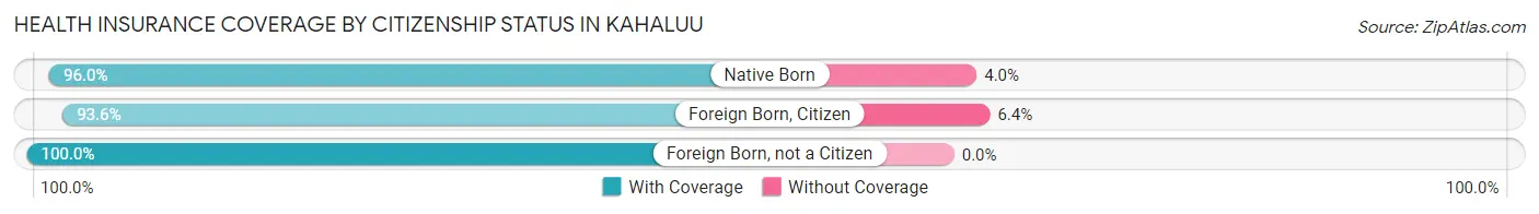 Health Insurance Coverage by Citizenship Status in Kahaluu