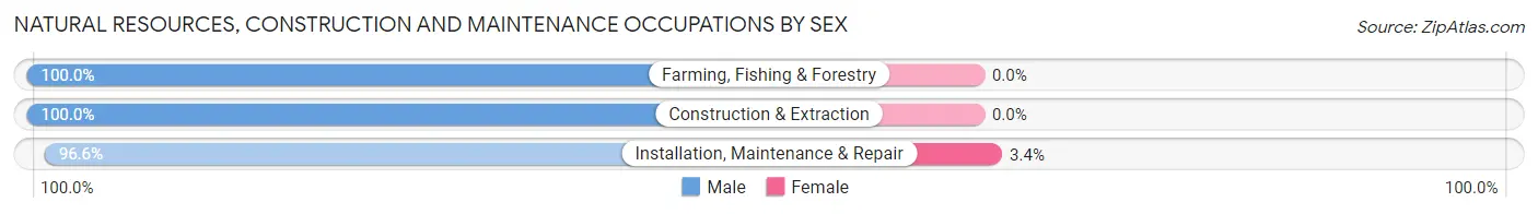 Natural Resources, Construction and Maintenance Occupations by Sex in Kailua CDP Honolulu County