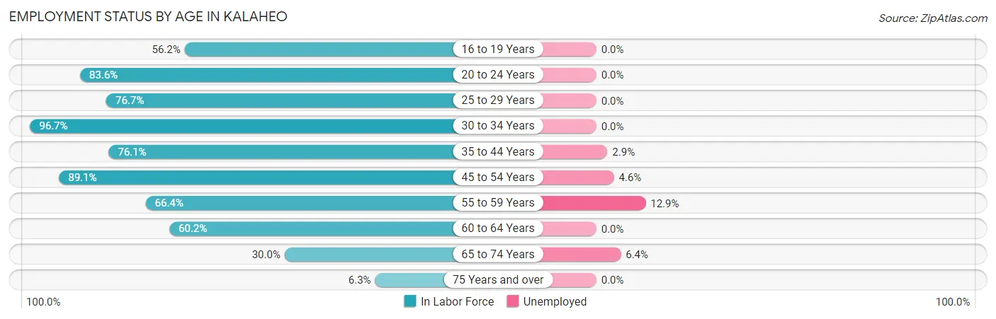 Employment Status by Age in Kalaheo