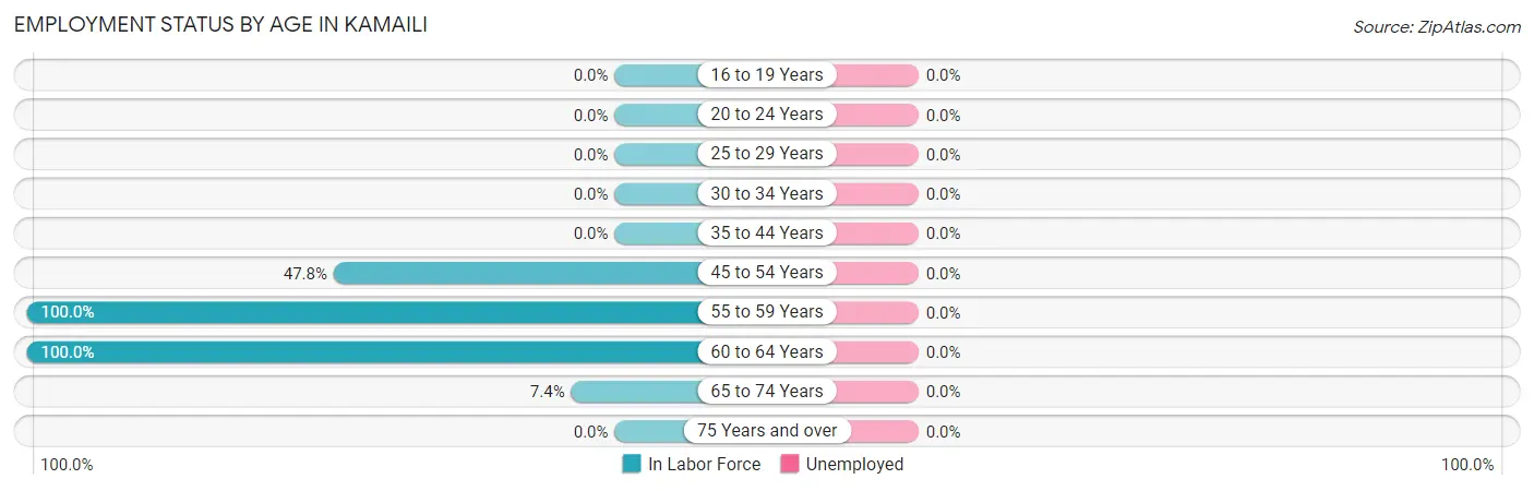 Employment Status by Age in Kamaili
