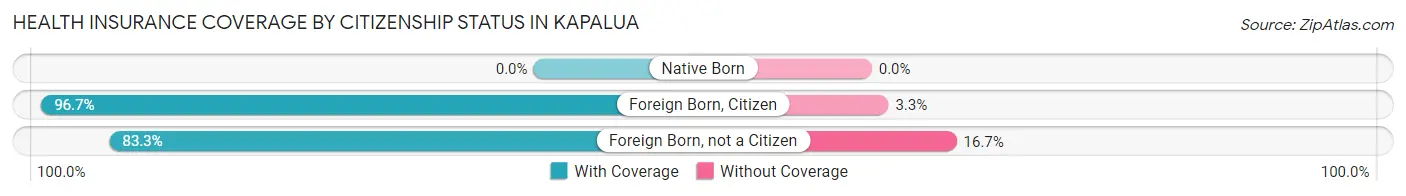 Health Insurance Coverage by Citizenship Status in Kapalua
