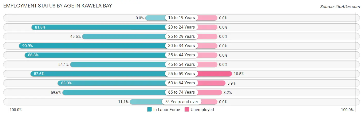 Employment Status by Age in Kawela Bay