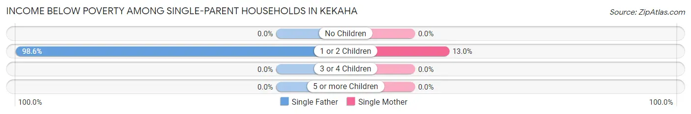 Income Below Poverty Among Single-Parent Households in Kekaha