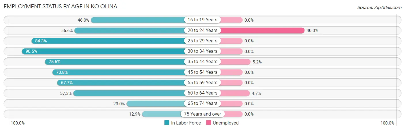 Employment Status by Age in Ko Olina