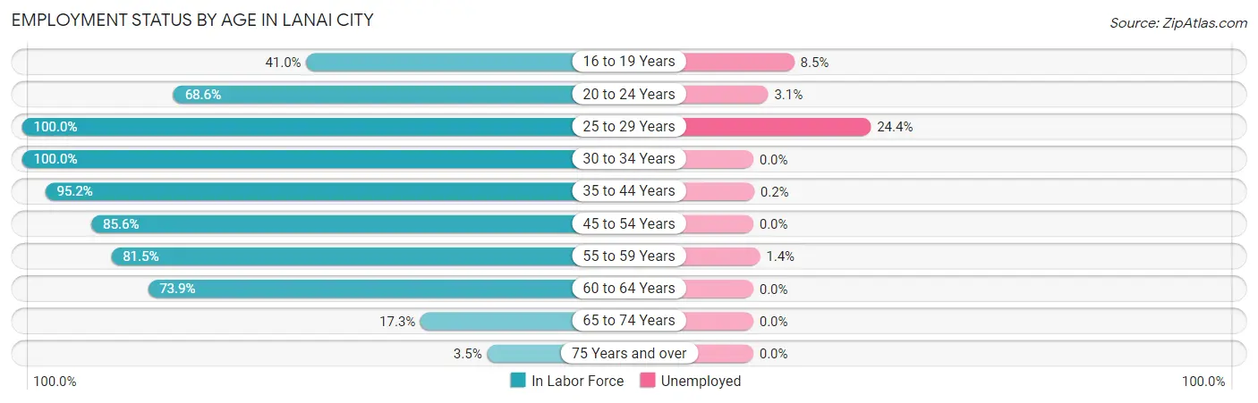 Employment Status by Age in Lanai City