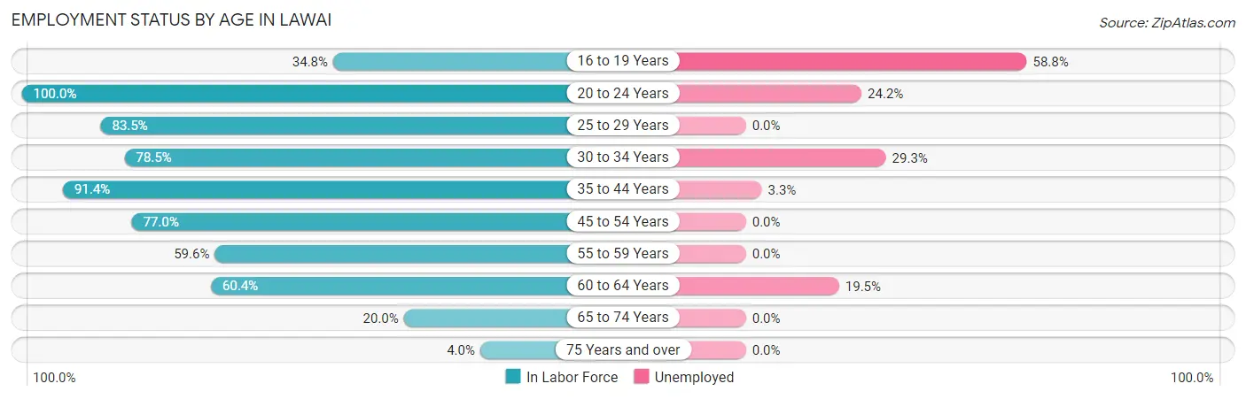 Employment Status by Age in Lawai