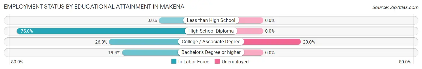 Employment Status by Educational Attainment in Makena