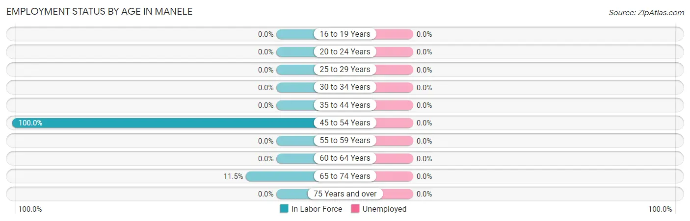 Employment Status by Age in Manele