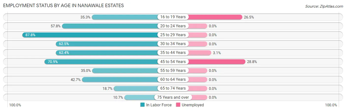 Employment Status by Age in Nanawale Estates
