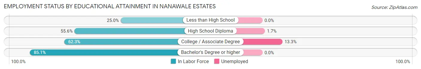 Employment Status by Educational Attainment in Nanawale Estates