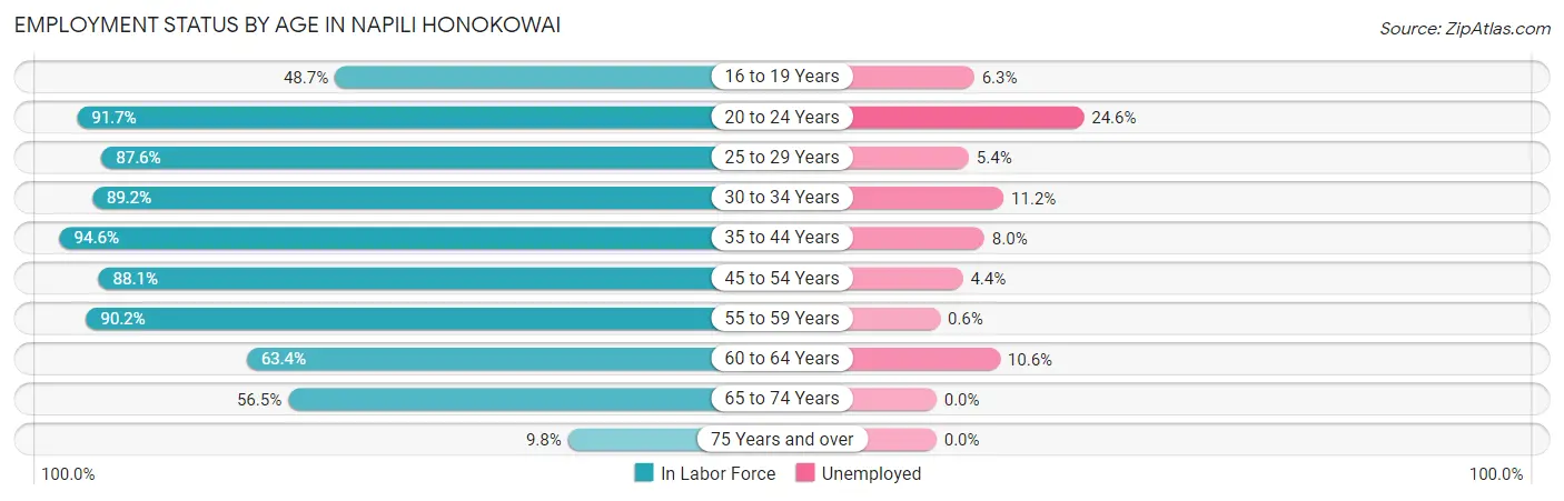 Employment Status by Age in Napili Honokowai