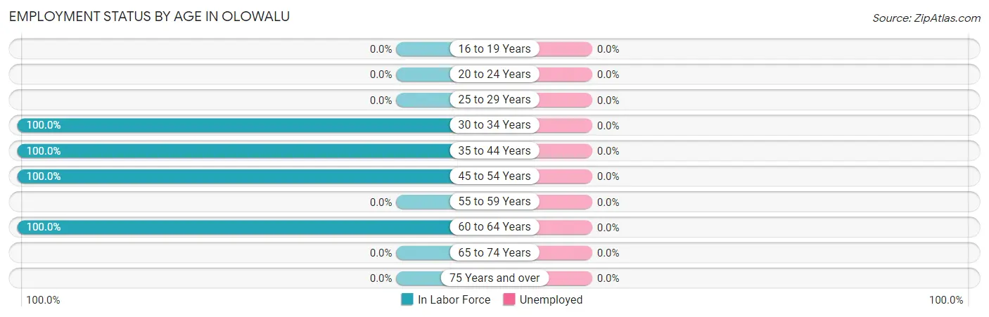 Employment Status by Age in Olowalu