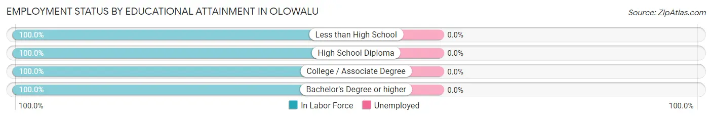 Employment Status by Educational Attainment in Olowalu
