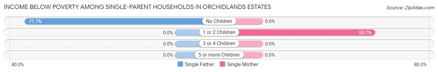 Income Below Poverty Among Single-Parent Households in Orchidlands Estates