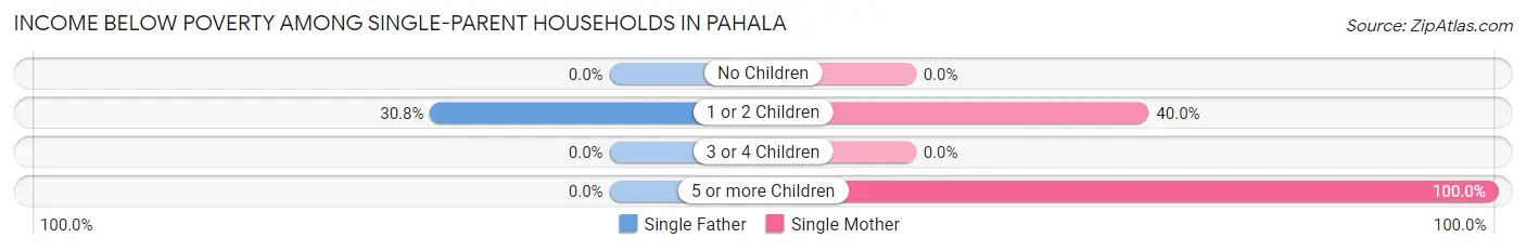 Income Below Poverty Among Single-Parent Households in Pahala