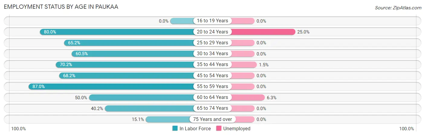Employment Status by Age in Paukaa