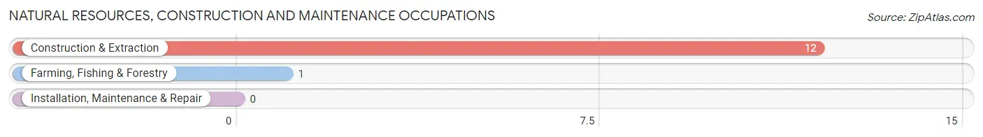 Natural Resources, Construction and Maintenance Occupations in Paukaa