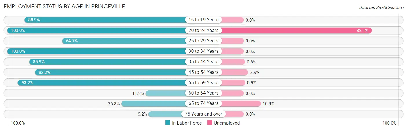 Employment Status by Age in Princeville