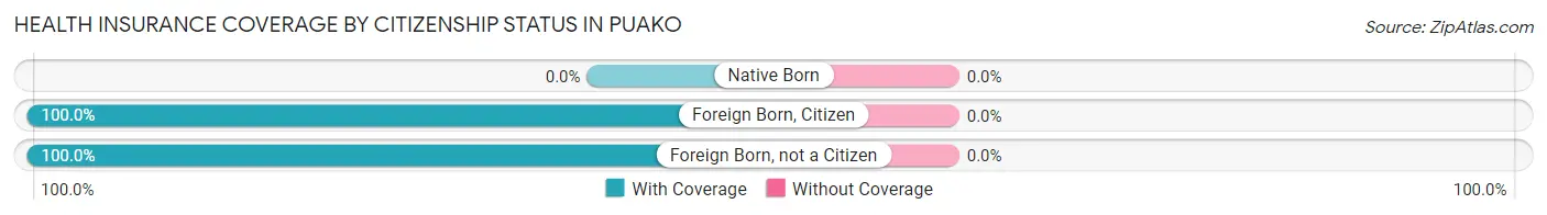 Health Insurance Coverage by Citizenship Status in Puako