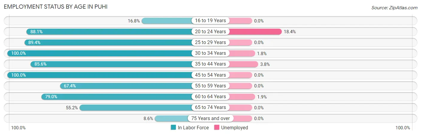 Employment Status by Age in Puhi
