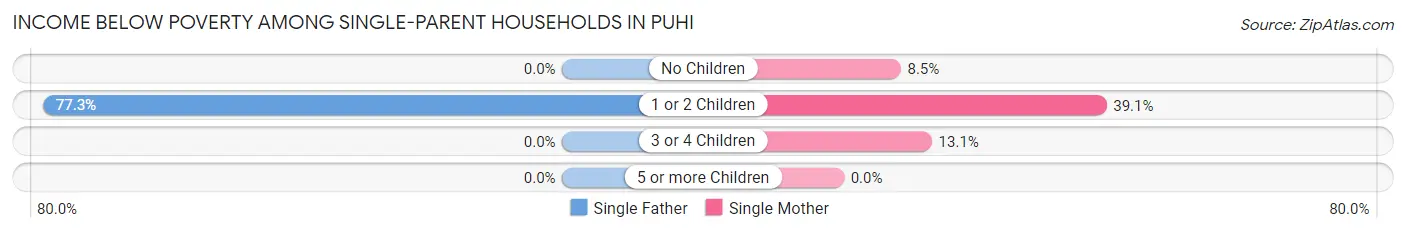 Income Below Poverty Among Single-Parent Households in Puhi