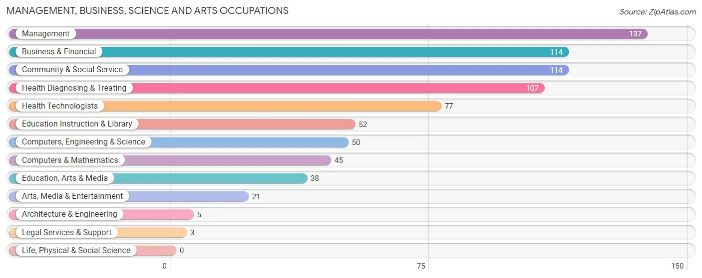 Management, Business, Science and Arts Occupations in Puhi